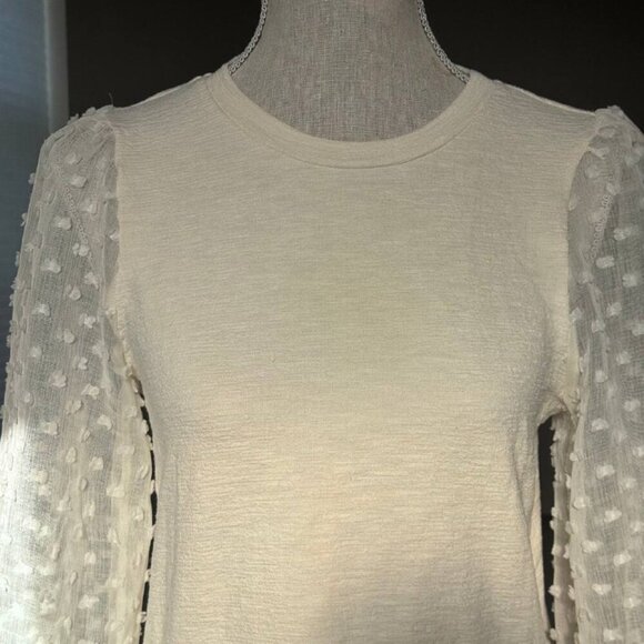 NWT! ANTHROPOLOGIE Maeve Stunning Ivory Top with Sheer Sleeves - Size XS - Picture 2 of 7